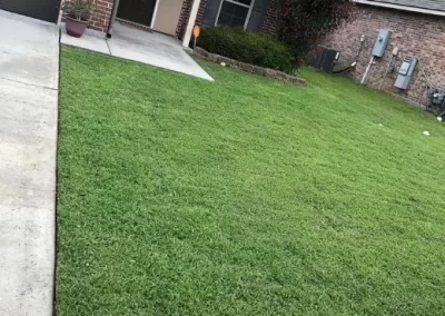 Detailed Residential Lawn Care