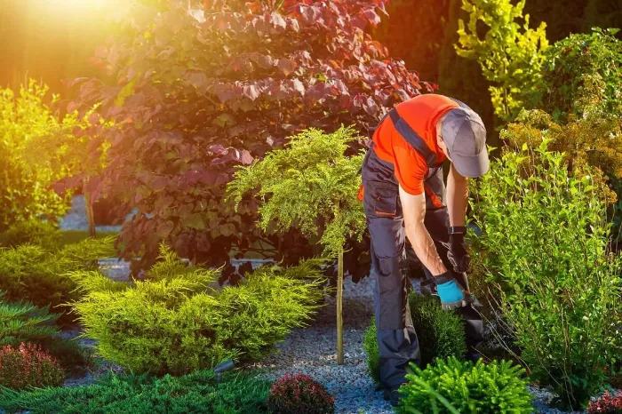 Landscaping Contractor in Columbus, OH