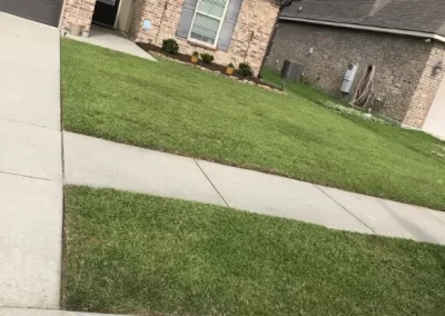 Proficient Residential Lawn Care