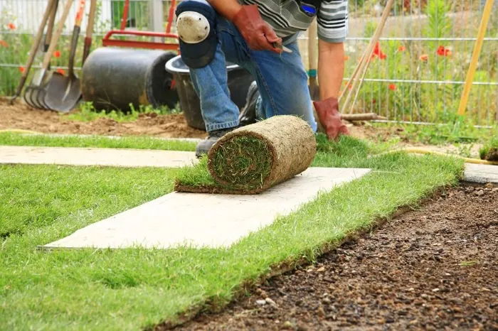 Sod Installation