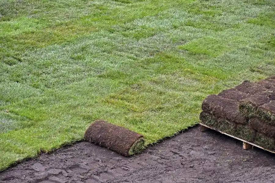 Professional Sod Installation in Columbus, OH Reliable Sod Installation in Columbus, OH